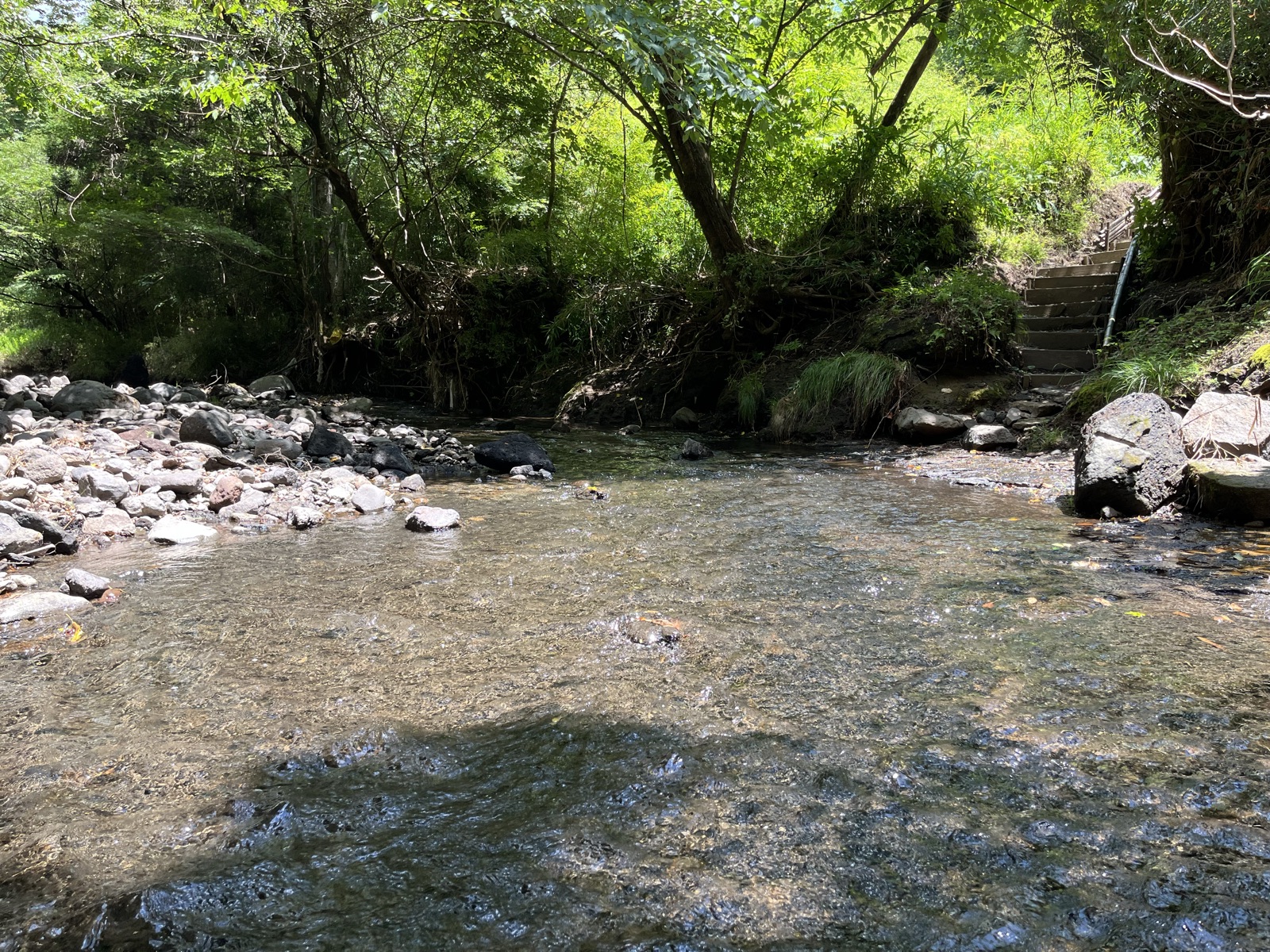 ミキタオサウナの天然の水風呂として使っている荻の草川。川底の石が見えるほど浅く澄んでいる