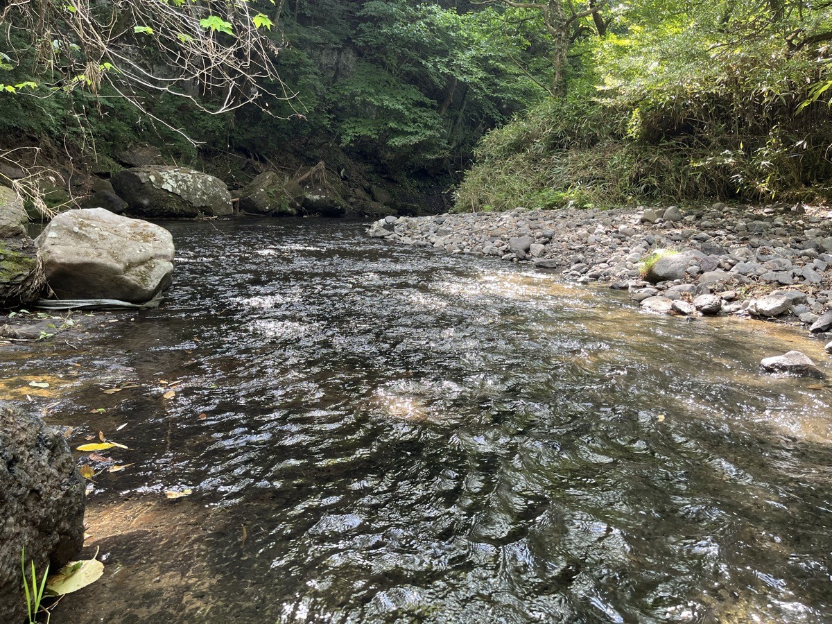 浅い流れと岩、周りを森に囲まれた荻の草川