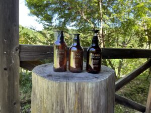 切り株の上に並べた ALLNA ORGANIC のボディソープ・トリートメント・シャンプーの3本。背景は阿蘇の森